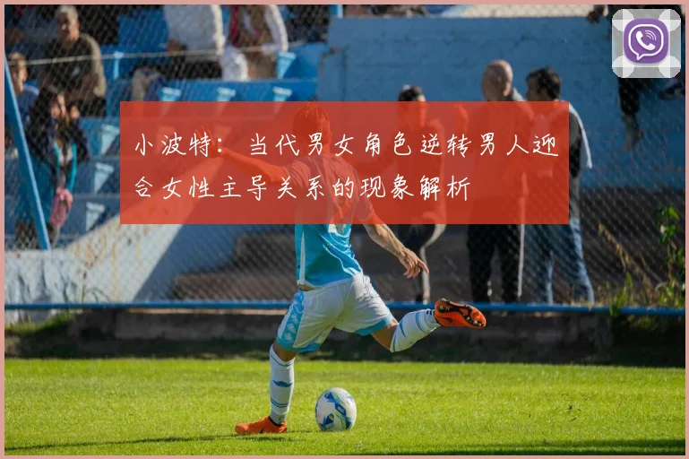 小波特:当代男女角色逆转男人迎合女性主导关系的现象解析