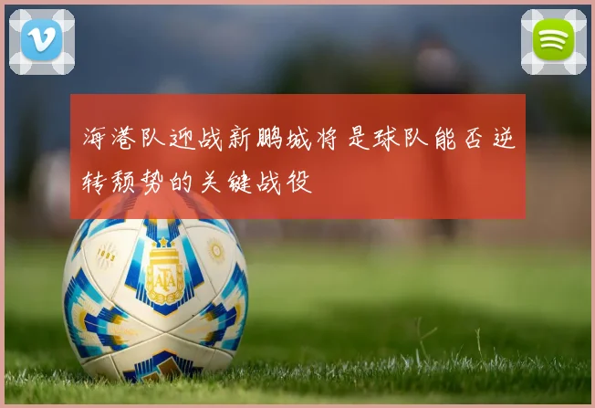 海港队迎战新鹏城将是球队能否逆转颓势的关键战役