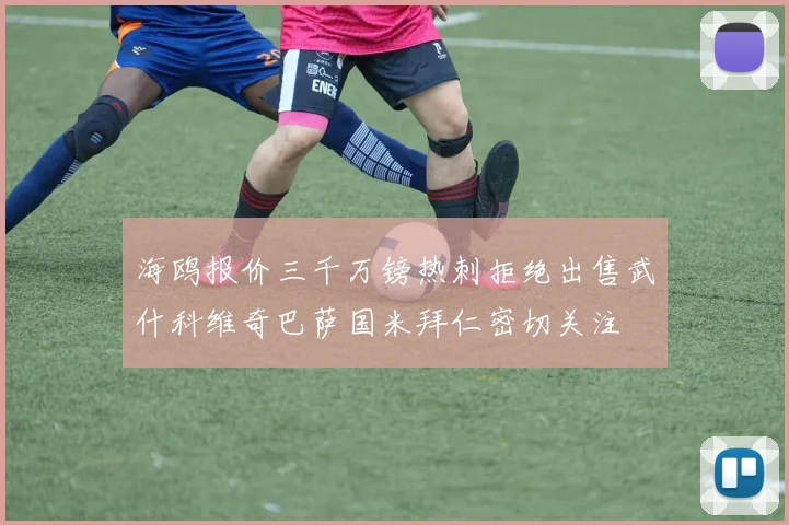 海鸥报价三千万镑热刺拒绝出售武什科维奇巴萨国米拜仁密切关注