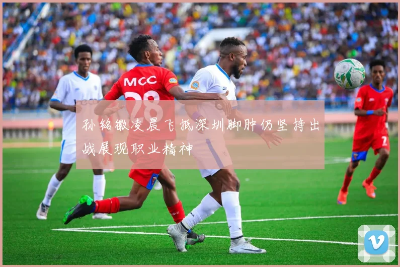 孙铭徽凌晨飞抵深圳脚肿仍坚持出战展现职业精神