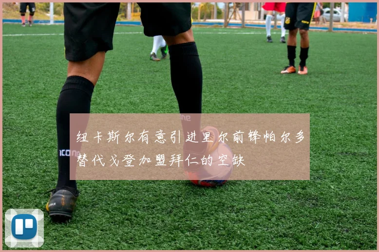 纽卡斯尔有意引进里尔前锋帕尔多替代戈登加盟拜仁的空缺