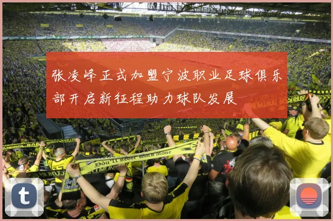 张凌峰正式加盟宁波职业足球俱乐部开启新征程助力球队发展