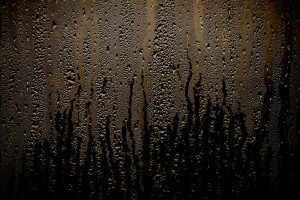 condensation water droplets in a window